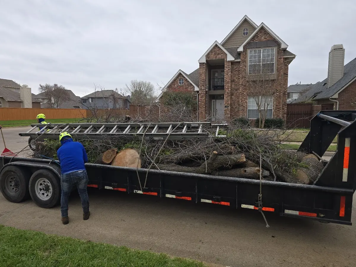 Expert Tree Pest Control with proper safety equipment in Damascus